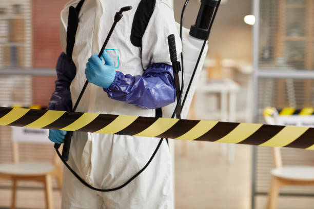 Professional Hoarding Cleanup technician working in Central City, IL